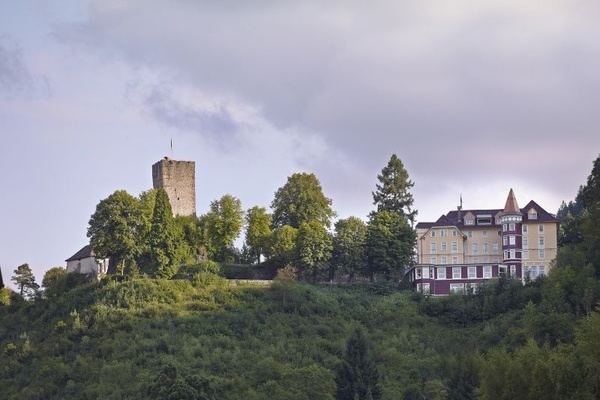 Schlossansicht von der Ferne