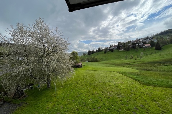 Blick aus dem Dachfenster der Ferienwohnung