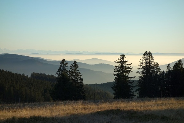 Dem Himme so nah und Alpenblick am St�benwasen