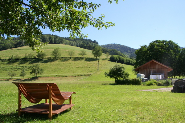 Blick ins Gr�ne 