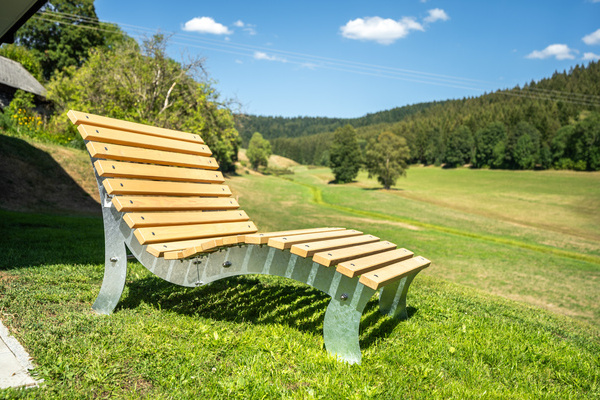 Himmelsliege mit Blick in�s Gr�ne