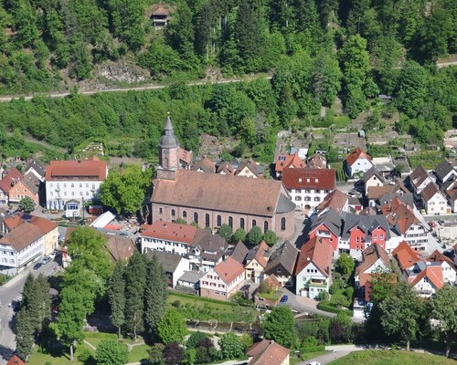 Ferienwohnung Mooswaldblick (Oppenau)