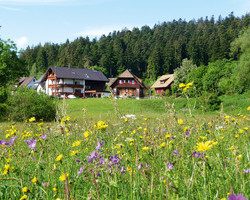 Landhaus Anja (Freudenstadt)