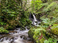 Mit freundlicher Genehmigung der Hotzenwald Tourismus GmbH Mit freundlicher Genehmigung der Hotzenwald Tourismus GmbH