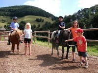 Reiten in Wieden (Bildnachweis: Tourismus GmbH zwischen Feldberg und Belchen) Reiten in Wieden (Bildnachweis: Tourismus GmbH zwischen Feldberg und Belchen)