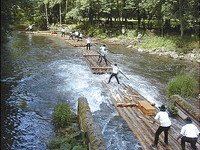 (Bildnachweis: Mit freundlicher Genehmigung der Gemeinde Unterreichenbach)  (Bildnachweis: Mit freundlicher Genehmigung der Gemeinde Unterreichenbach)