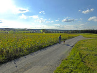 Eschbronn (Bildnachweis: Mit freundlicher Genehmigung der Gemeindeverwaltung Eschbronn, Fotografie: Coletta Thudium - www.thudium.de)