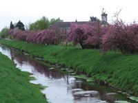 (Bildnachweis: Bürgermeisteramt Sinzheim) (Bildnachweis: Bürgermeisteramt Sinzheim)
