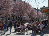 (Bildnachweis: ©schulte-kellinghaus)  (Bildnachweis: ©schulte-kellinghaus)