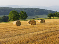 (Bildnachweis: ©schulte-kellinghaus)  (Bildnachweis: ©schulte-kellinghaus)