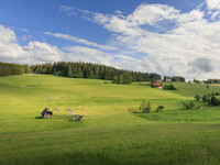 (Bildnachweis: Gemeinde Schönwald im Schwarzwald / Michael Stifter) (Bildnachweis: Gemeinde Schönwald im Schwarzwald / Michael Stifter)