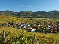 Blick auf Ehrenstetten (Bildnachweis: Fotograf und Copyright: Th. Coch) Blick auf Ehrenstetten (Bildnachweis: Fotograf und Copyright: Th. Coch)