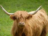 (Bildnachweis: Mit freundlicher Genehmigung der Gemeinde Eggingen, Foto Regio-Experten)  (Bildnachweis: Mit freundlicher Genehmigung der Gemeinde Eggingen, Foto Regio-Experten)