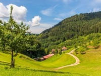Schwarzwälder Wandersinfonie Schwarzwaldsteig (Bildnachweis: © KTG Foto: Elke Bitzer) Schwarzwälder Wandersinfonie Schwarzwaldsteig (Bildnachweis: © KTG Foto: Elke Bitzer)