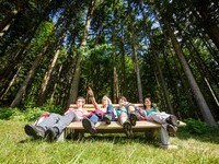 Schwarzwälder Wandersinfonie Himmelssteig Bank Wald  (Bildnachweis: © KTG Foto: David Lohmüller) Schwarzwälder Wandersinfonie Himmelssteig Bank Wald  (Bildnachweis: © KTG Foto: David Lohmüller)