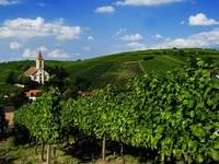  (Bildnachweis: Mit freundlicher Genehmigung der Touristikinformation Auggen / Winzerkeller Auggener Schäf)