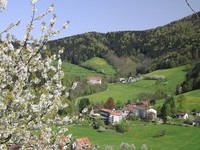 Frühling, Blick zur Rehaklinik - Fotograf: Bernhard Würzburger (Bildnachweis: © Tourist-Info Glottertal, Foto: Bernhard Würzburger)