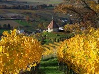 (Bildnachweis: Copyright und Fotograf: Th. Coch) (Bildnachweis: Copyright und Fotograf: Th. Coch)