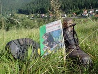  (Bildnachweis: Mit freundlicher Genehmigung der Tourist Information Enzklsterle)