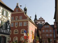 (Bildnachweis: Mit freundlicher Genehmigung der Stadt Ettenheim)  (Bildnachweis: Mit freundlicher Genehmigung der Stadt Ettenheim)