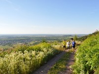 (Bildnachweis: Mit freundlicher Genehmigung der Gemeinde Friesenheim) (Bildnachweis: Mit freundlicher Genehmigung der Gemeinde Friesenheim)