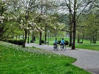 (Bildnachweis: Mit freundlicher Genehmigung der Stadt Gaggenau)  (Bildnachweis: Mit freundlicher Genehmigung der Stadt Gaggenau)