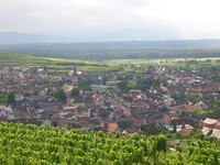 (Bildnachweis: Mit freundlicher Genehmigung der Kaiserstuhl Touristik e.V. Ihringen)  (Bildnachweis: Mit freundlicher Genehmigung der Kaiserstuhl Touristik e.V. Ihringen)