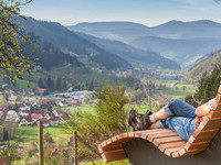 Himmelsliege (Bildnachweis: � Gemeindeverwaltung Gutach (Schwarzwaldbahn))