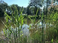 (Bildnachweis: Copyright: Dieter Pache)  (Bildnachweis: Copyright: Dieter Pache)