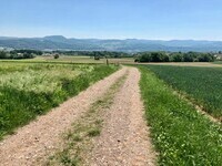 (Bildnachweis: Copyright: Dieter Pache)  (Bildnachweis: Copyright: Dieter Pache)