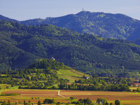 (Bildnachweis: Ferienregion Münstertal Staufen, Erich Spiegelhalter) (Bildnachweis: Ferienregion Münstertal Staufen, Erich Spiegelhalter)