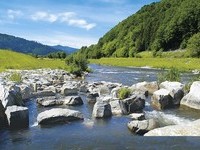 (Bildnachweis: Mit freundlicher Genehmigung des Bürgermeisteramtes Steinach) (Bildnachweis: Mit freundlicher Genehmigung des Bürgermeisteramtes Steinach)