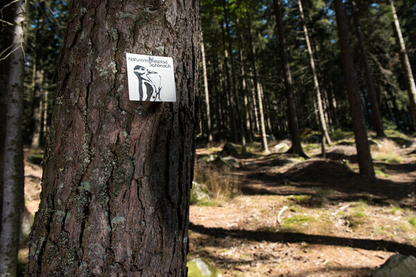  Bildnachweis: Mit freundlicher Genehmigung der Hochschwarzwald Tourismus GmbH