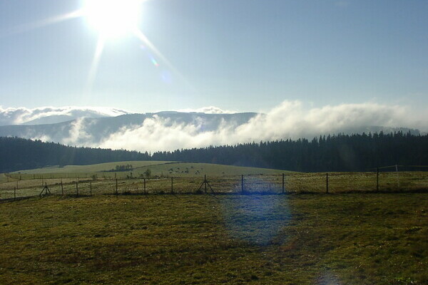 Copyright: (4ws-netdesign)  Copyright: (4ws-netdesign)