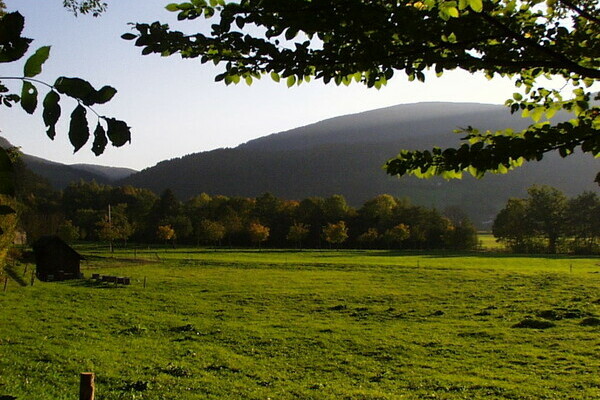 Copyright: (4ws-netdesign)  Copyright: (4ws-netdesign)