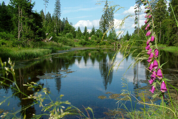 Kaltenbachsee Copyright: (Copyright: Mit freundlicher Genehmigung der Gemeinde Seewald)