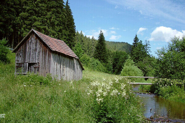 Schorrental Copyright: (Mit freundlicher Genehmigung der Gemeinde Seewald) Schorrental Copyright: (Mit freundlicher Genehmigung der Gemeinde Seewald)