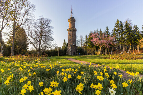 Friedrichsturm Bildnachweis:  Freudenstadt Tourismus