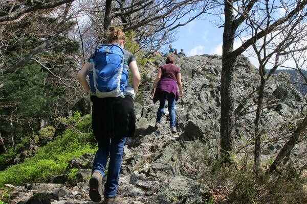 Gratwanderung  Bildnachweis: Tourist-Info Ottenhfen