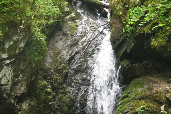 Lotenbachklamm Bildnachweis: Touristinfo Bonndorf