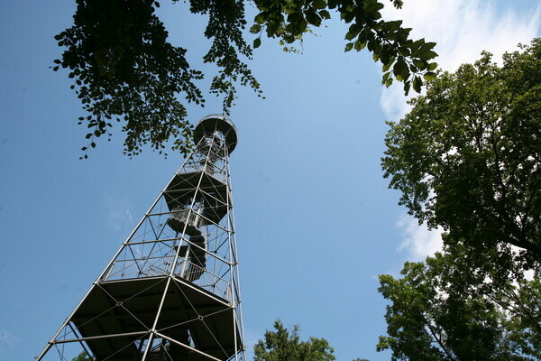 Aussichtsturm auf der Wanne Copyright: (Wirtschaft und Tourismus Villingen-Schwenningen GmbH) Aussichtsturm auf der Wanne Copyright: (Wirtschaft und Tourismus Villingen-Schwenningen GmbH)