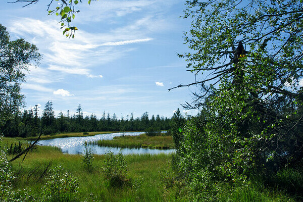 Touristik Wildsee Touristik Wildsee