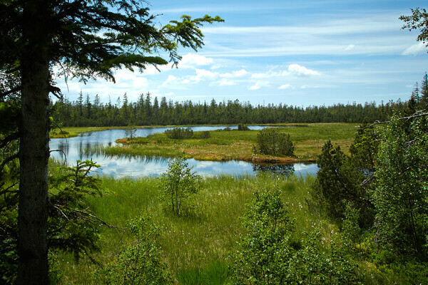 Wildsee Bildnachweis: Tourismus GmbH Nrdlicher Schwarzwald