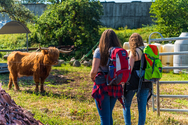 Wolfssteig Bildnachweis:  Tourist-Information Hchenschwand, Fotograf Klaus Hansen