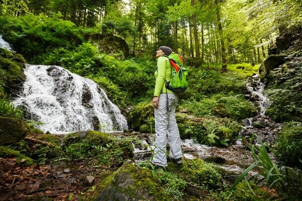 Himmelssteig Copyright: (© Bad Peterstal-Griesbach) Himmelssteig Copyright: (© Bad Peterstal-Griesbach)