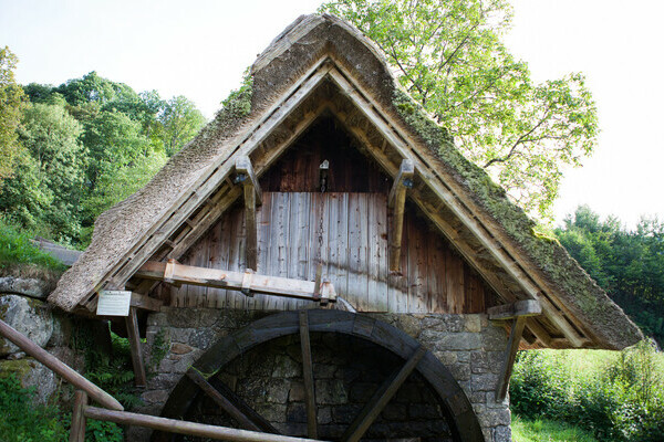  Copyright: (Mit freundlicher Genehmigung der Tourist-Info Sasbachwalden �Steffen Egly)